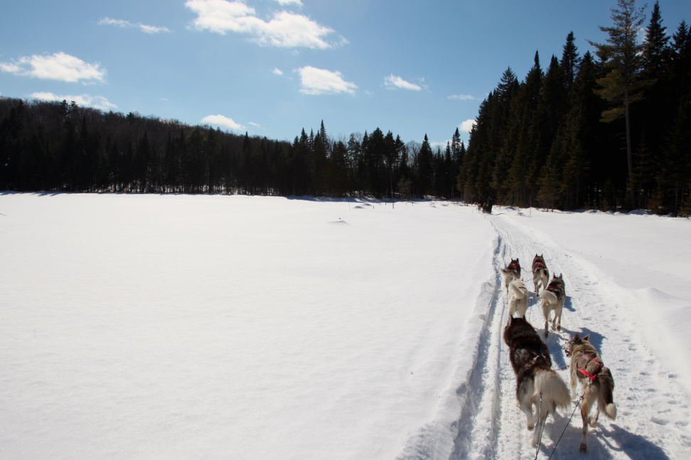 Association caritative pour les enfants atteints de cancer Tahiti